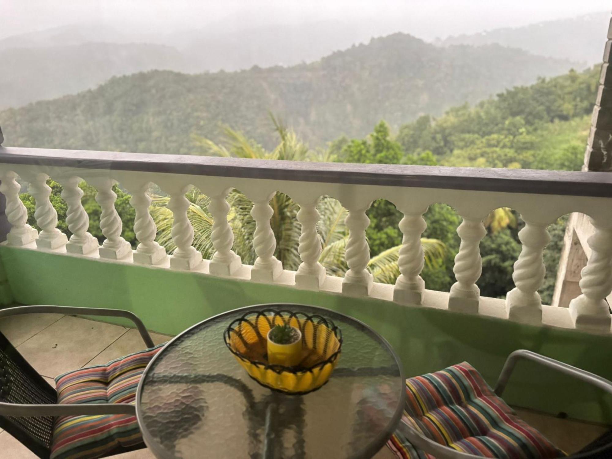 Bed and Breakfast Matthew'S Miracle View Roseau Exterior foto