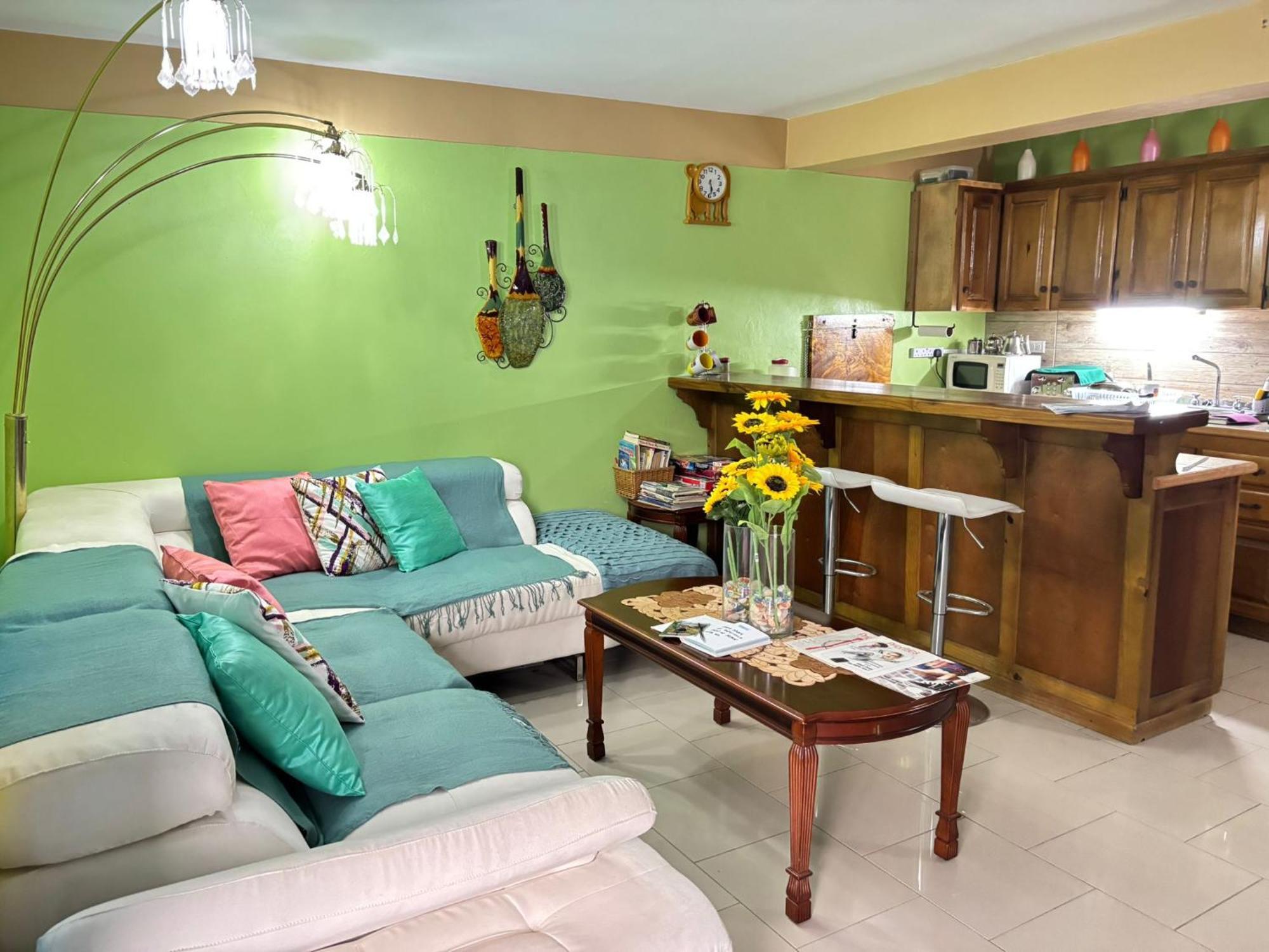 Bed and Breakfast Matthew'S Miracle View Roseau Exterior foto